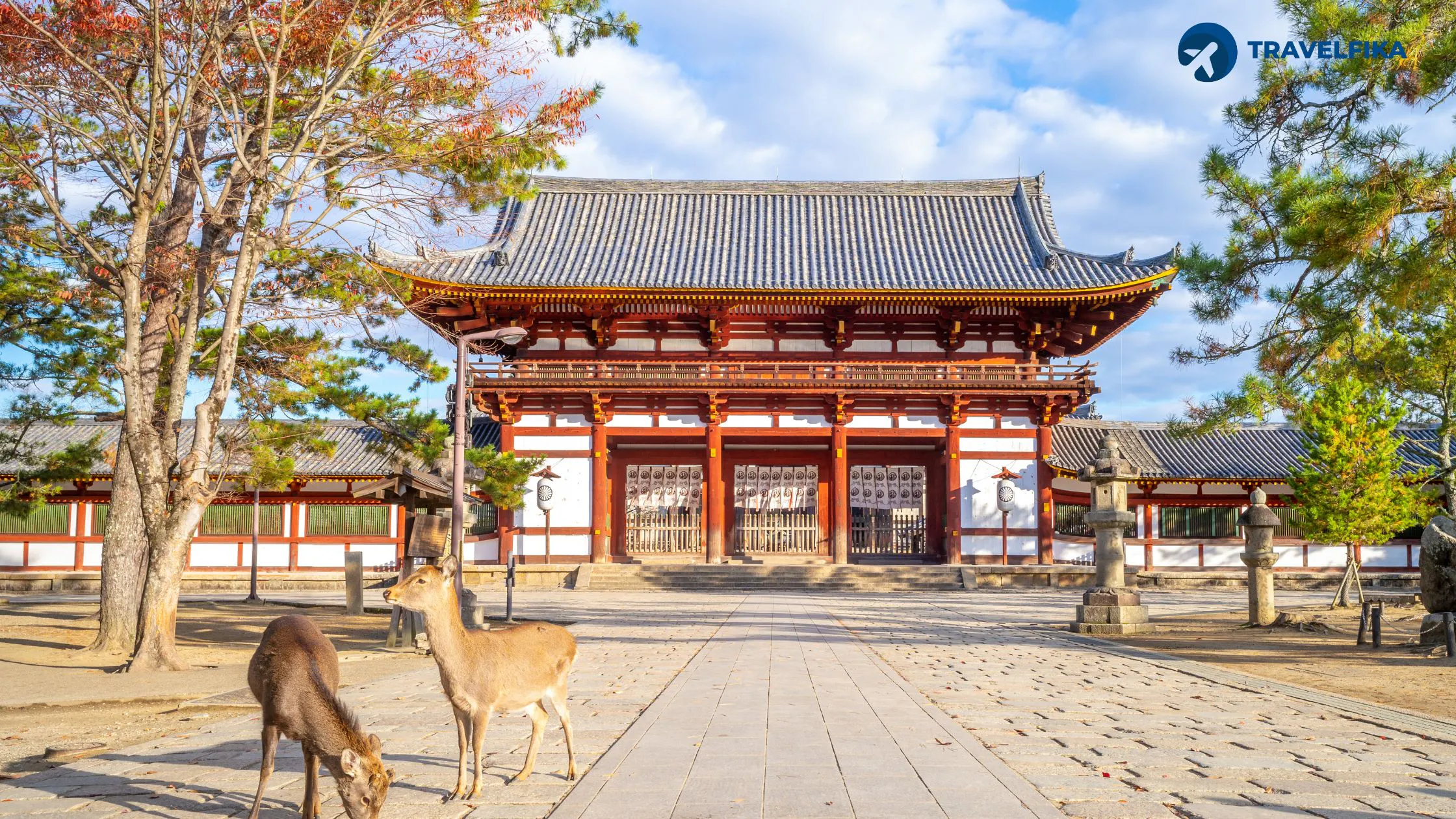 Nara – Temples & Free-Roaming Deer